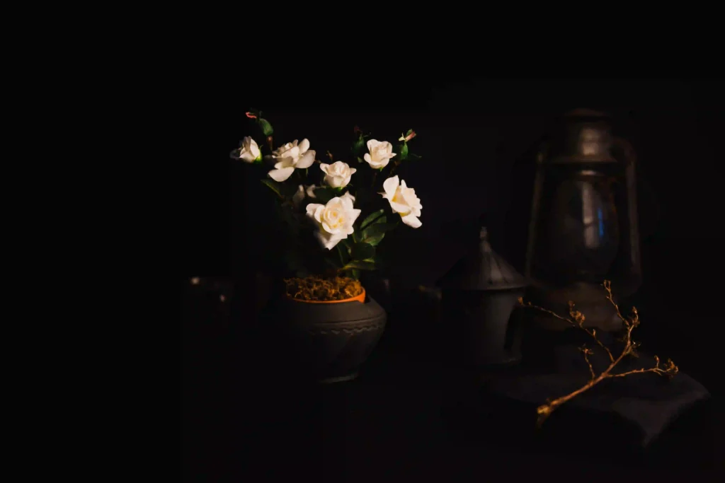 image of aeo expert in malappuram.service section